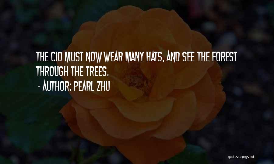Pearl Zhu Quotes: The Cio Must Now Wear Many Hats, And See The Forest Through The Trees.