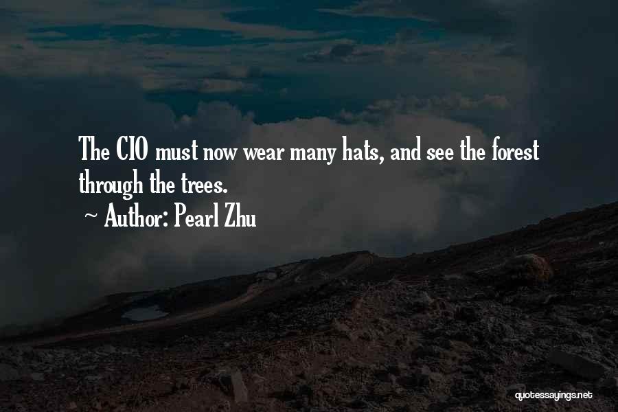 Pearl Zhu Quotes: The Cio Must Now Wear Many Hats, And See The Forest Through The Trees.