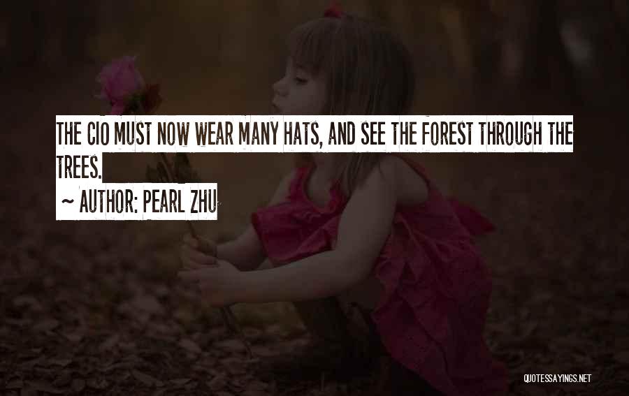Pearl Zhu Quotes: The Cio Must Now Wear Many Hats, And See The Forest Through The Trees.