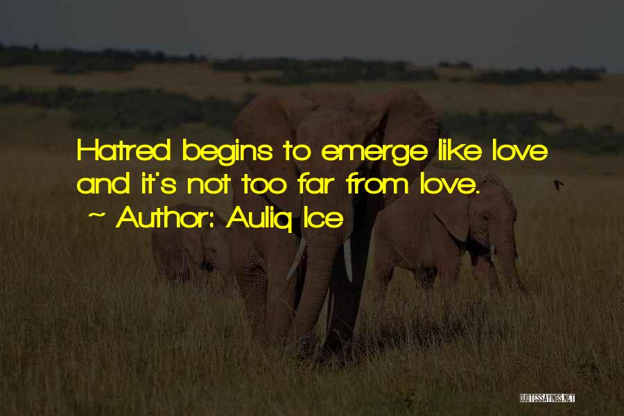 Auliq Ice Quotes: Hatred Begins To Emerge Like Love And It's Not Too Far From Love.