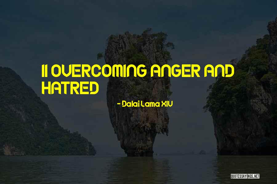 20031 N95 Quotes By Dalai Lama XIV