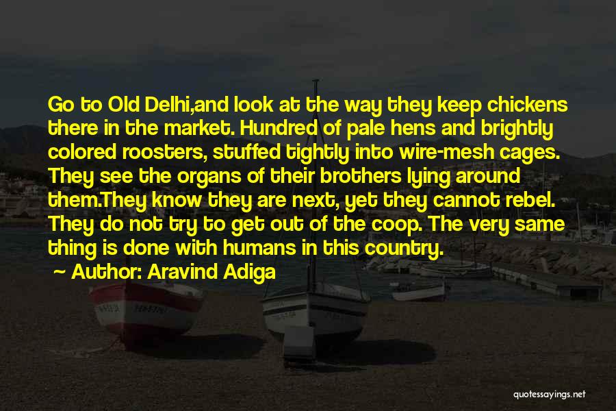 Aravind Adiga Quotes: Go To Old Delhi,and Look At The Way They Keep Chickens There In The Market. Hundred Of Pale Hens And