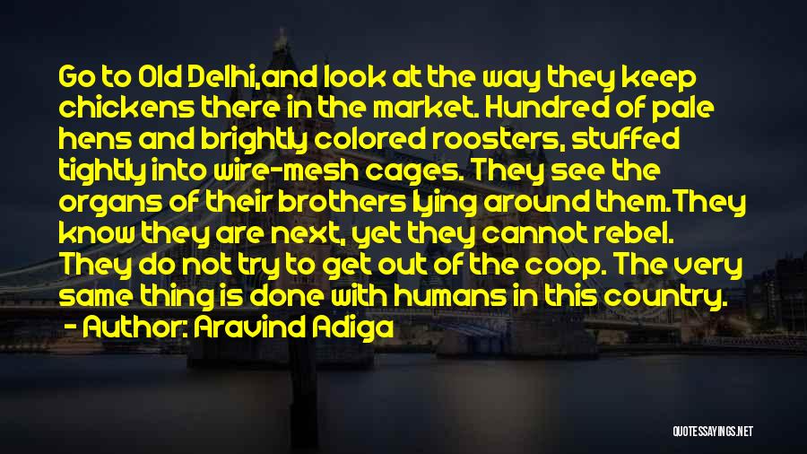 Aravind Adiga Quotes: Go To Old Delhi,and Look At The Way They Keep Chickens There In The Market. Hundred Of Pale Hens And