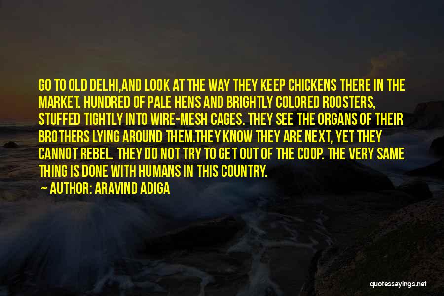 Aravind Adiga Quotes: Go To Old Delhi,and Look At The Way They Keep Chickens There In The Market. Hundred Of Pale Hens And