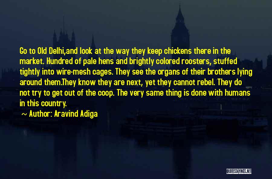 Aravind Adiga Quotes: Go To Old Delhi,and Look At The Way They Keep Chickens There In The Market. Hundred Of Pale Hens And