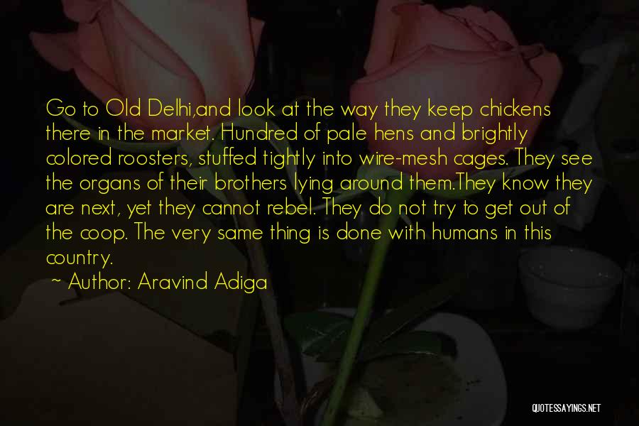 Aravind Adiga Quotes: Go To Old Delhi,and Look At The Way They Keep Chickens There In The Market. Hundred Of Pale Hens And