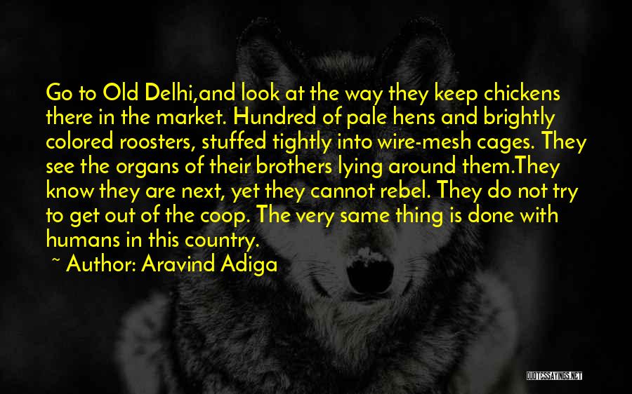 Aravind Adiga Quotes: Go To Old Delhi,and Look At The Way They Keep Chickens There In The Market. Hundred Of Pale Hens And