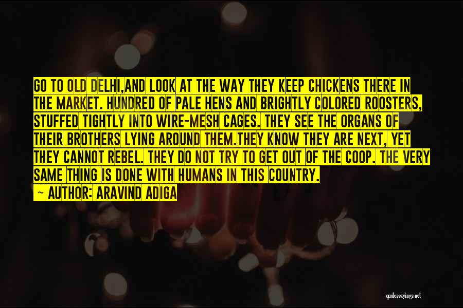 Aravind Adiga Quotes: Go To Old Delhi,and Look At The Way They Keep Chickens There In The Market. Hundred Of Pale Hens And