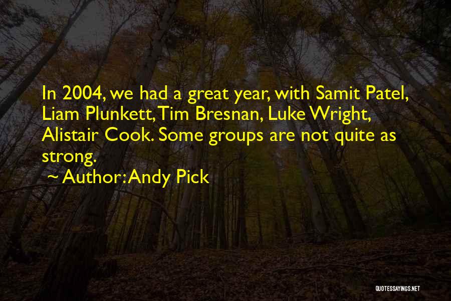 2004 Quotes By Andy Pick