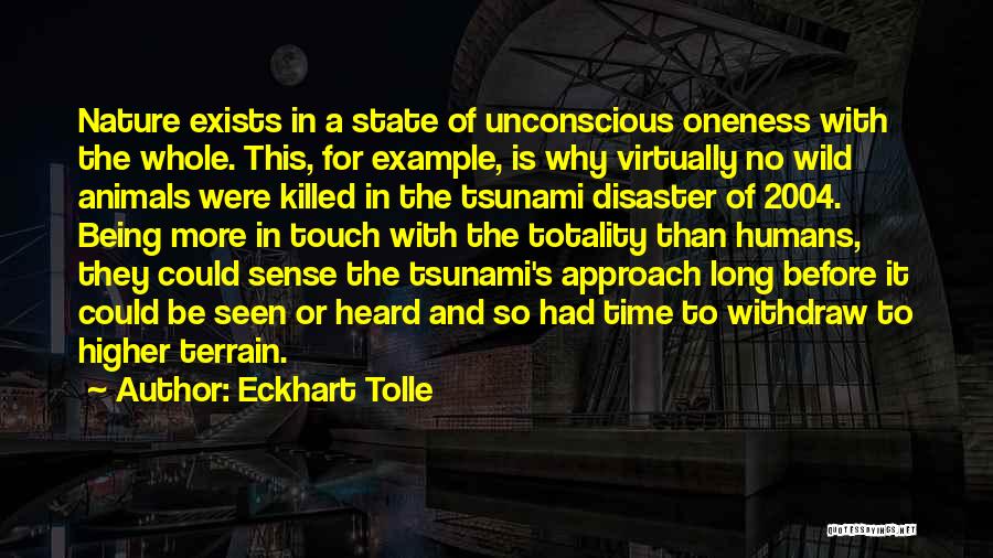2004 Tsunami Quotes By Eckhart Tolle