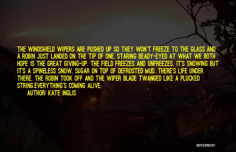 Kate Inglis Quotes: The Windshield Wipers Are Pushed Up So They Won't Freeze To The Glass And A Robin Just Landed On The