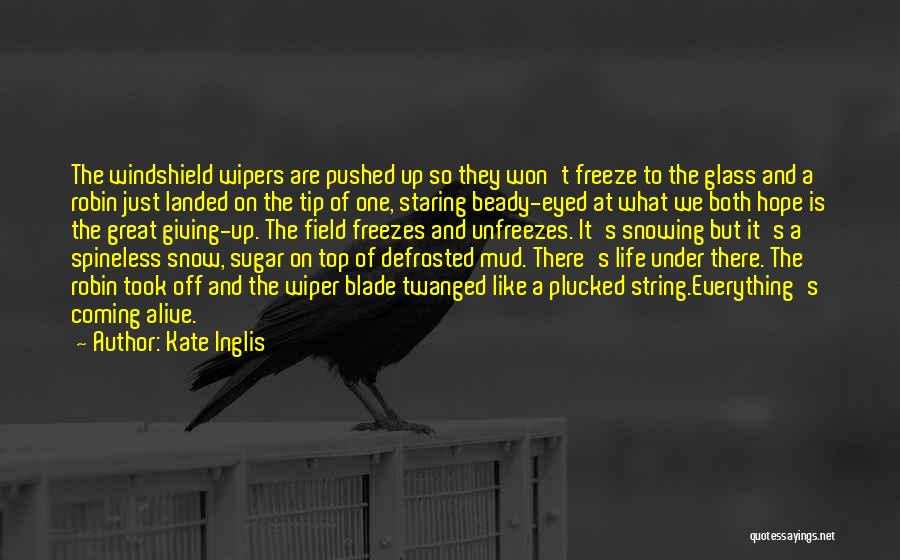 Kate Inglis Quotes: The Windshield Wipers Are Pushed Up So They Won't Freeze To The Glass And A Robin Just Landed On The