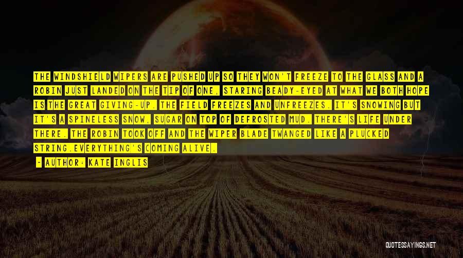 Kate Inglis Quotes: The Windshield Wipers Are Pushed Up So They Won't Freeze To The Glass And A Robin Just Landed On The