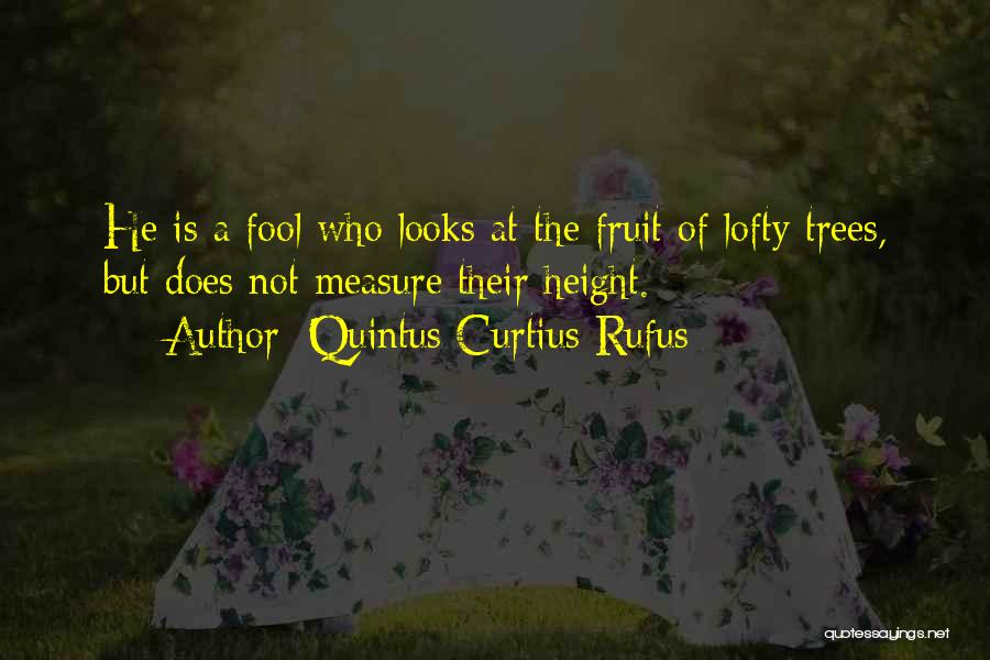 Quintus Curtius Rufus Quotes: He Is A Fool Who Looks At The Fruit Of Lofty Trees, But Does Not Measure Their Height.