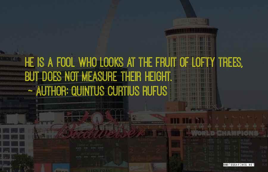 Quintus Curtius Rufus Quotes: He Is A Fool Who Looks At The Fruit Of Lofty Trees, But Does Not Measure Their Height.