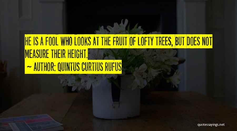 Quintus Curtius Rufus Quotes: He Is A Fool Who Looks At The Fruit Of Lofty Trees, But Does Not Measure Their Height.