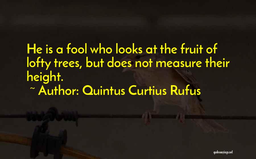 Quintus Curtius Rufus Quotes: He Is A Fool Who Looks At The Fruit Of Lofty Trees, But Does Not Measure Their Height.