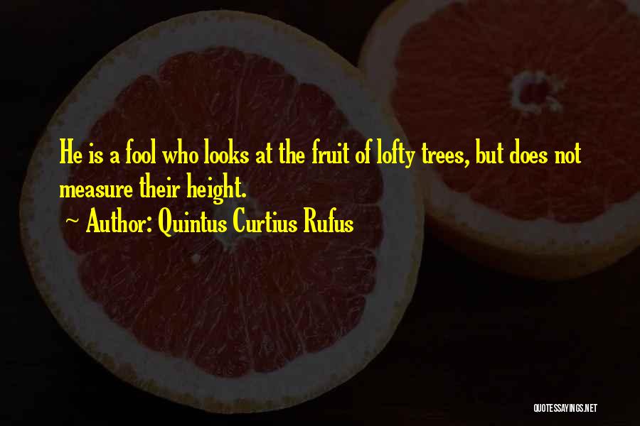 Quintus Curtius Rufus Quotes: He Is A Fool Who Looks At The Fruit Of Lofty Trees, But Does Not Measure Their Height.