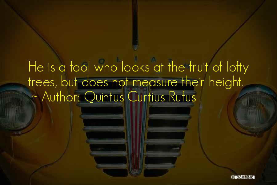 Quintus Curtius Rufus Quotes: He Is A Fool Who Looks At The Fruit Of Lofty Trees, But Does Not Measure Their Height.