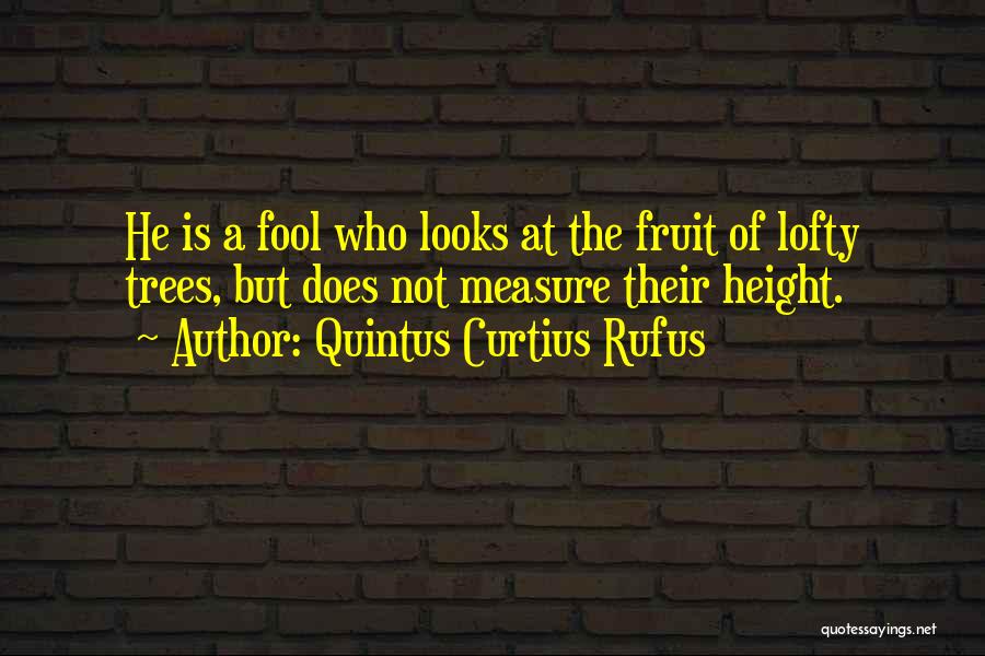 Quintus Curtius Rufus Quotes: He Is A Fool Who Looks At The Fruit Of Lofty Trees, But Does Not Measure Their Height.