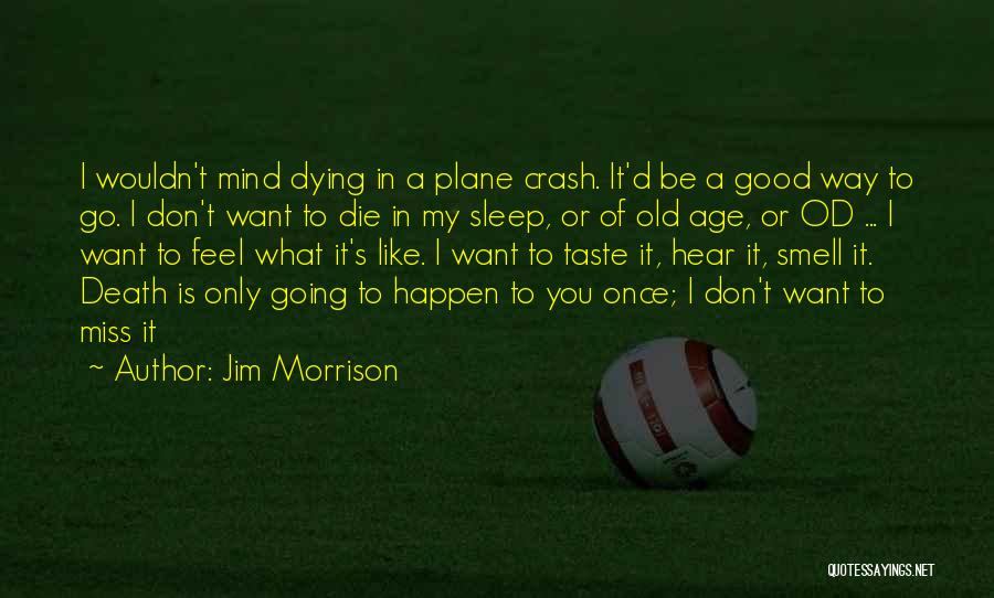 Jim Morrison Quotes: I Wouldn't Mind Dying In A Plane Crash. It'd Be A Good Way To Go. I Don't Want To Die