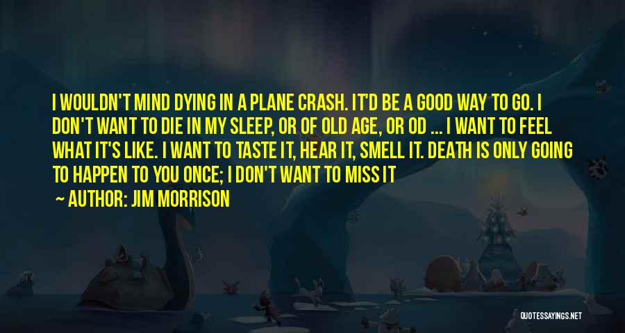 Jim Morrison Quotes: I Wouldn't Mind Dying In A Plane Crash. It'd Be A Good Way To Go. I Don't Want To Die