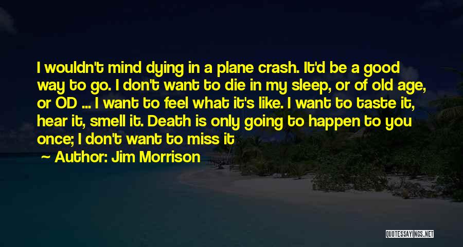 Jim Morrison Quotes: I Wouldn't Mind Dying In A Plane Crash. It'd Be A Good Way To Go. I Don't Want To Die