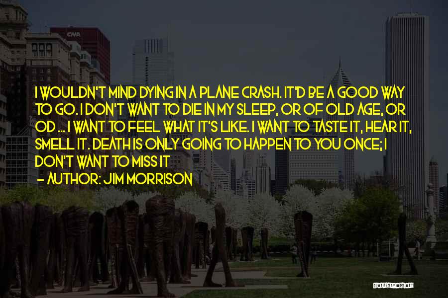 Jim Morrison Quotes: I Wouldn't Mind Dying In A Plane Crash. It'd Be A Good Way To Go. I Don't Want To Die
