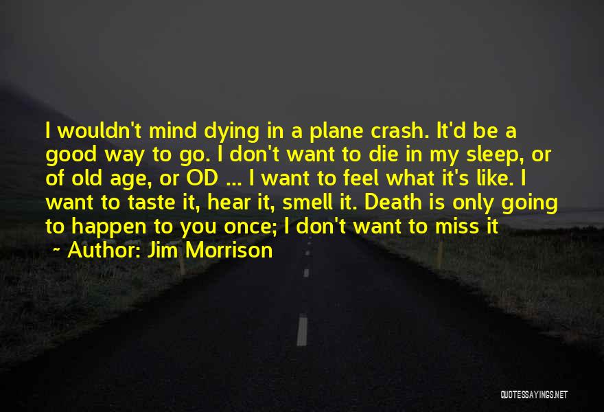 Jim Morrison Quotes: I Wouldn't Mind Dying In A Plane Crash. It'd Be A Good Way To Go. I Don't Want To Die