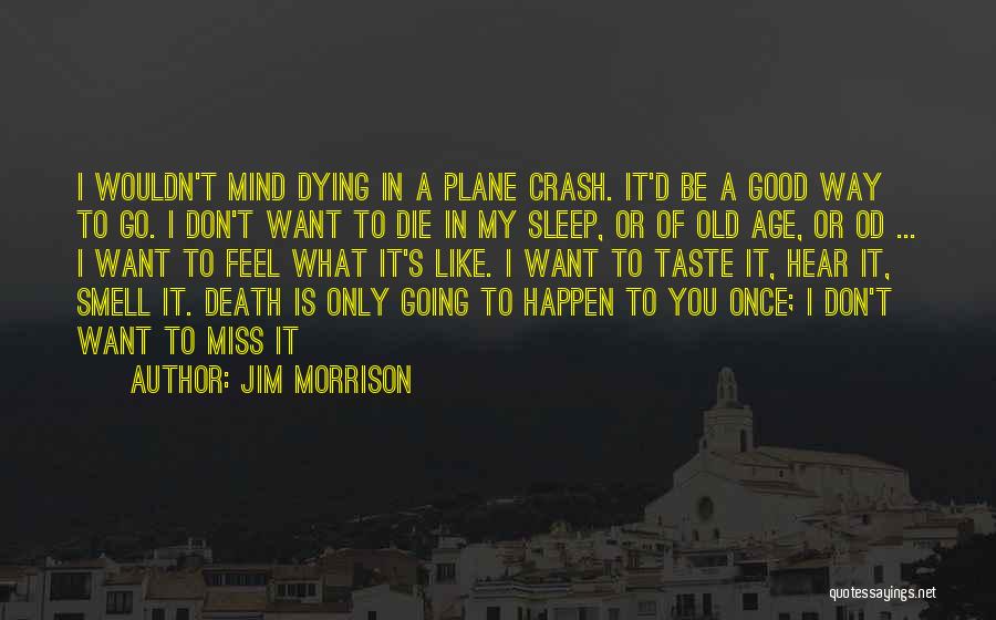 Jim Morrison Quotes: I Wouldn't Mind Dying In A Plane Crash. It'd Be A Good Way To Go. I Don't Want To Die