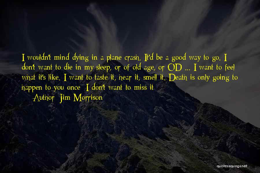 Jim Morrison Quotes: I Wouldn't Mind Dying In A Plane Crash. It'd Be A Good Way To Go. I Don't Want To Die