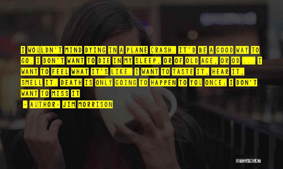 Jim Morrison Quotes: I Wouldn't Mind Dying In A Plane Crash. It'd Be A Good Way To Go. I Don't Want To Die