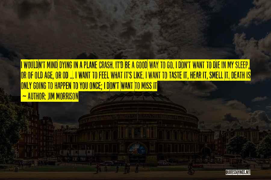Jim Morrison Quotes: I Wouldn't Mind Dying In A Plane Crash. It'd Be A Good Way To Go. I Don't Want To Die