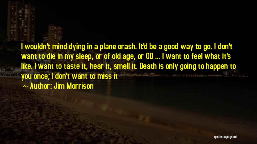 Jim Morrison Quotes: I Wouldn't Mind Dying In A Plane Crash. It'd Be A Good Way To Go. I Don't Want To Die