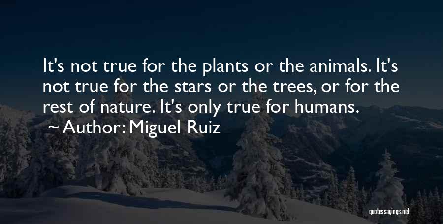 Miguel Ruiz Quotes: It's Not True For The Plants Or The Animals. It's Not True For The Stars Or The Trees, Or For