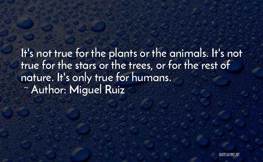 Miguel Ruiz Quotes: It's Not True For The Plants Or The Animals. It's Not True For The Stars Or The Trees, Or For