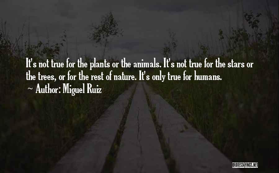 Miguel Ruiz Quotes: It's Not True For The Plants Or The Animals. It's Not True For The Stars Or The Trees, Or For