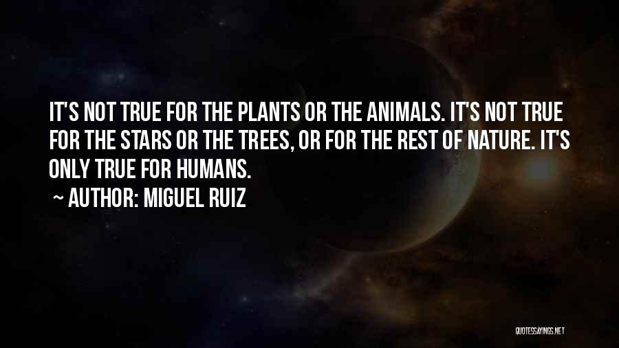 Miguel Ruiz Quotes: It's Not True For The Plants Or The Animals. It's Not True For The Stars Or The Trees, Or For