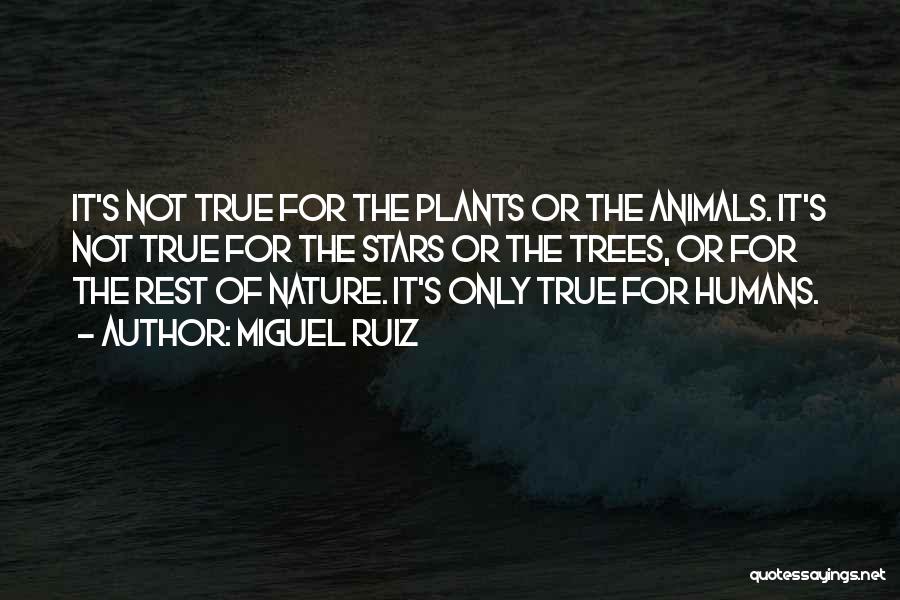 Miguel Ruiz Quotes: It's Not True For The Plants Or The Animals. It's Not True For The Stars Or The Trees, Or For