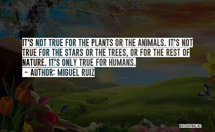 Miguel Ruiz Quotes: It's Not True For The Plants Or The Animals. It's Not True For The Stars Or The Trees, Or For