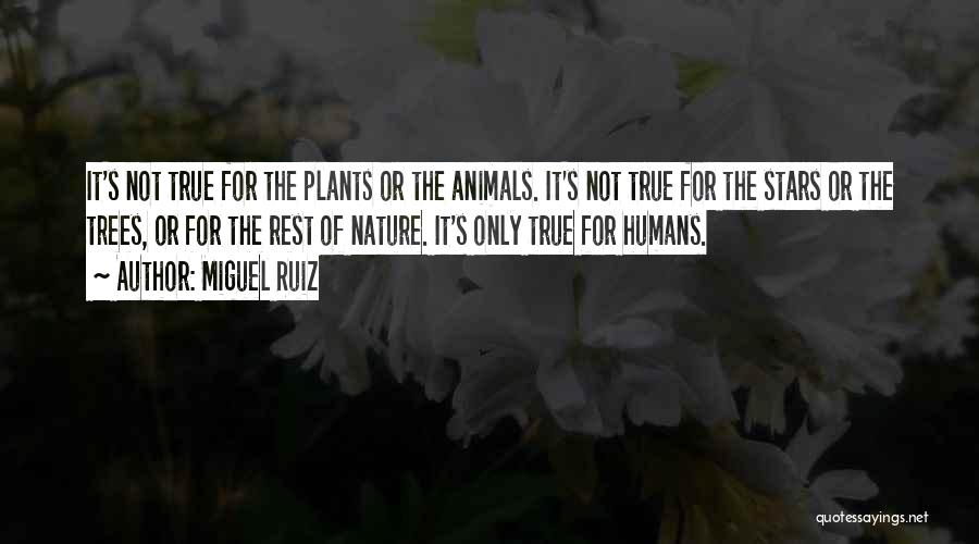 Miguel Ruiz Quotes: It's Not True For The Plants Or The Animals. It's Not True For The Stars Or The Trees, Or For