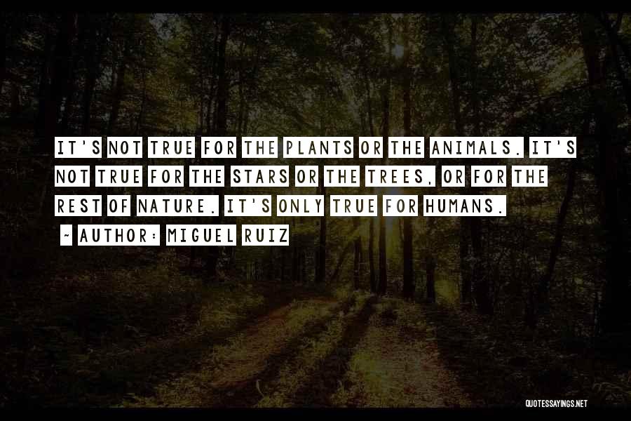 Miguel Ruiz Quotes: It's Not True For The Plants Or The Animals. It's Not True For The Stars Or The Trees, Or For