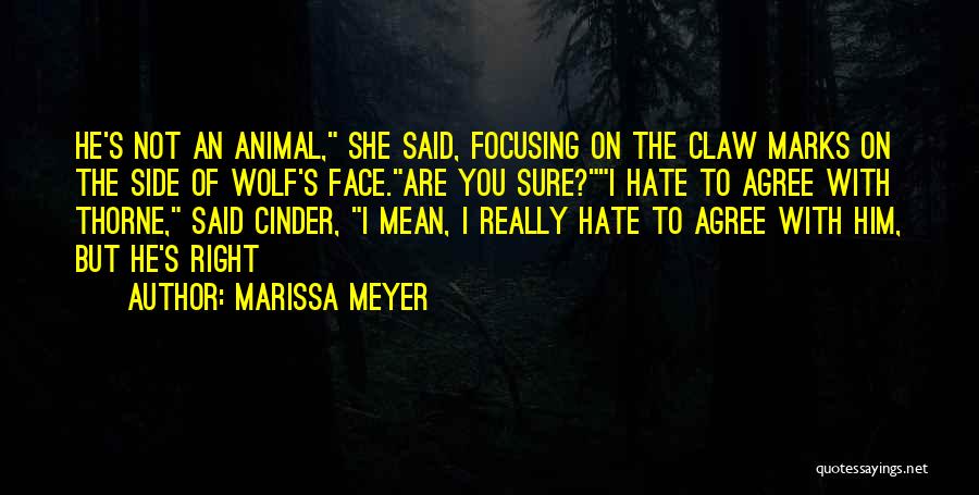 Marissa Meyer Quotes: He's Not An Animal, She Said, Focusing On The Claw Marks On The Side Of Wolf's Face.are You Sure?i Hate