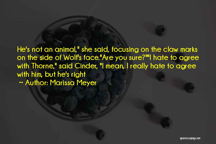 Marissa Meyer Quotes: He's Not An Animal, She Said, Focusing On The Claw Marks On The Side Of Wolf's Face.are You Sure?i Hate
