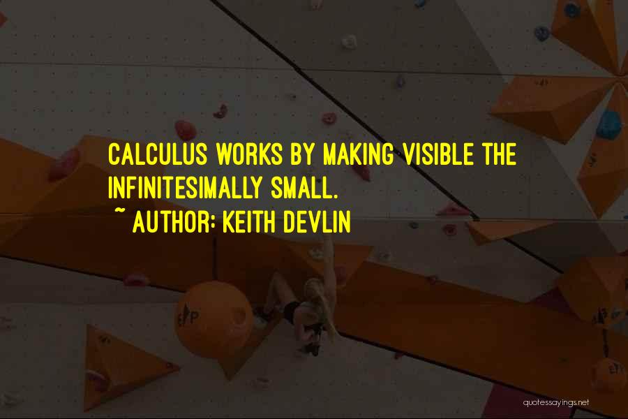 Keith Devlin Quotes: Calculus Works By Making Visible The Infinitesimally Small.