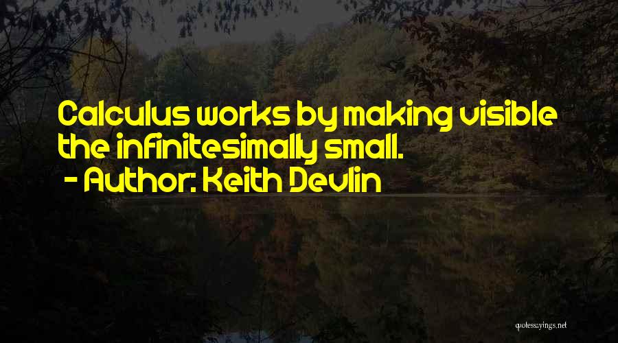 Keith Devlin Quotes: Calculus Works By Making Visible The Infinitesimally Small.