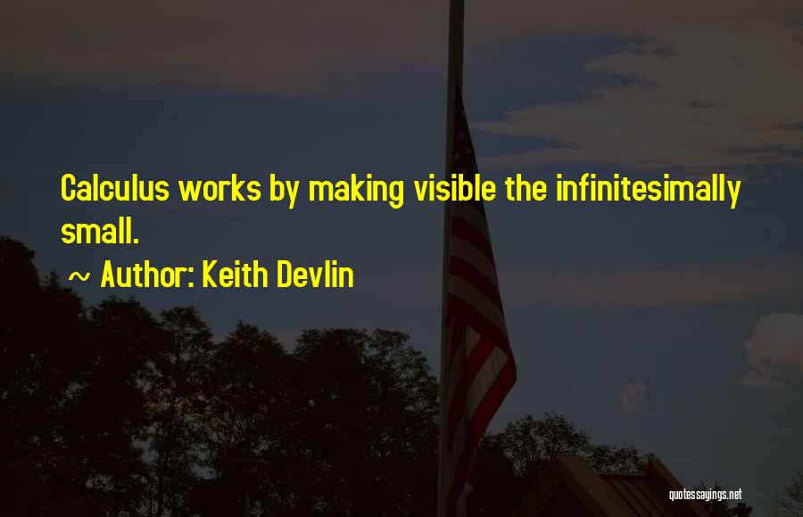 Keith Devlin Quotes: Calculus Works By Making Visible The Infinitesimally Small.