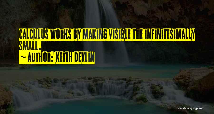 Keith Devlin Quotes: Calculus Works By Making Visible The Infinitesimally Small.