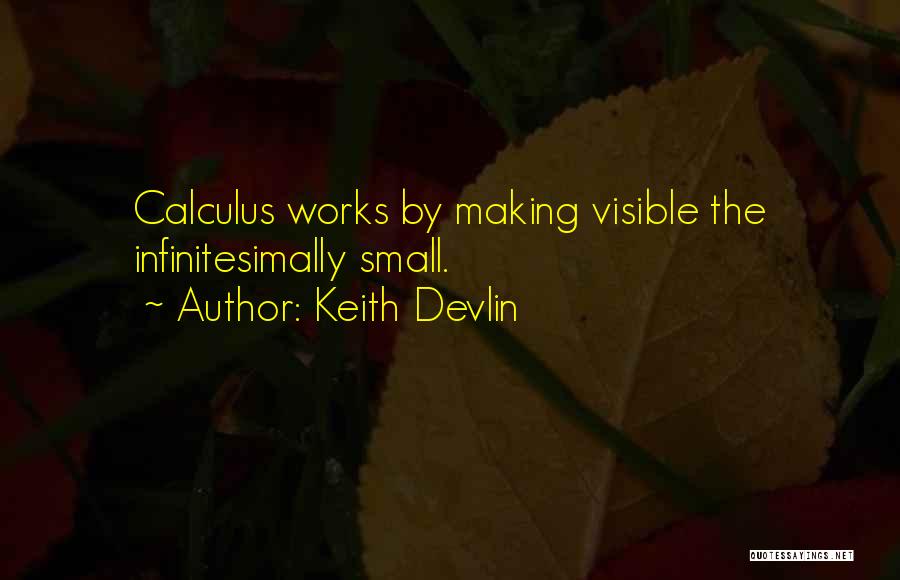 Keith Devlin Quotes: Calculus Works By Making Visible The Infinitesimally Small.