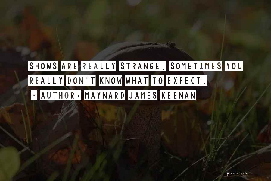 Maynard James Keenan Quotes: Shows Are Really Strange. Sometimes You Really Don't Know What To Expect.